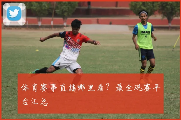 体育赛事直播哪里看？最全观赛平台汇总