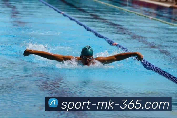 APP界面展示